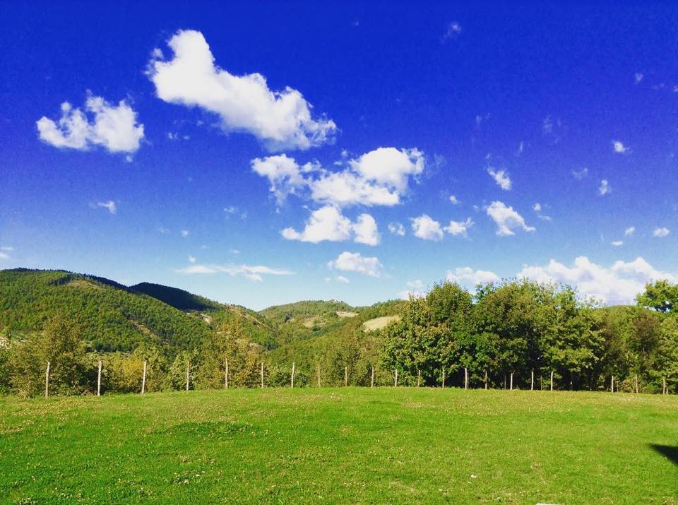 AGRITURISMO SAN BARTOLO
